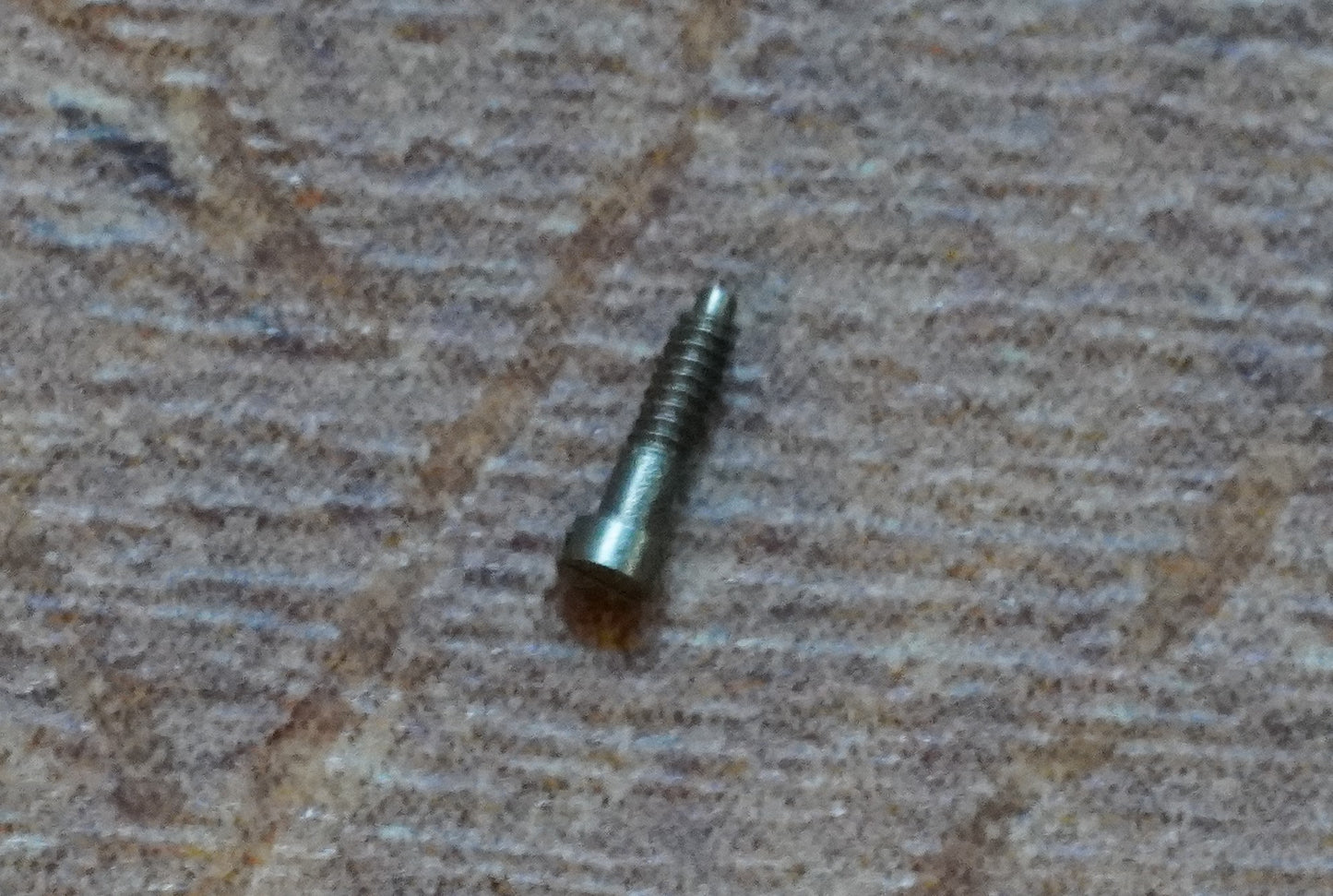 Omega screw 2027