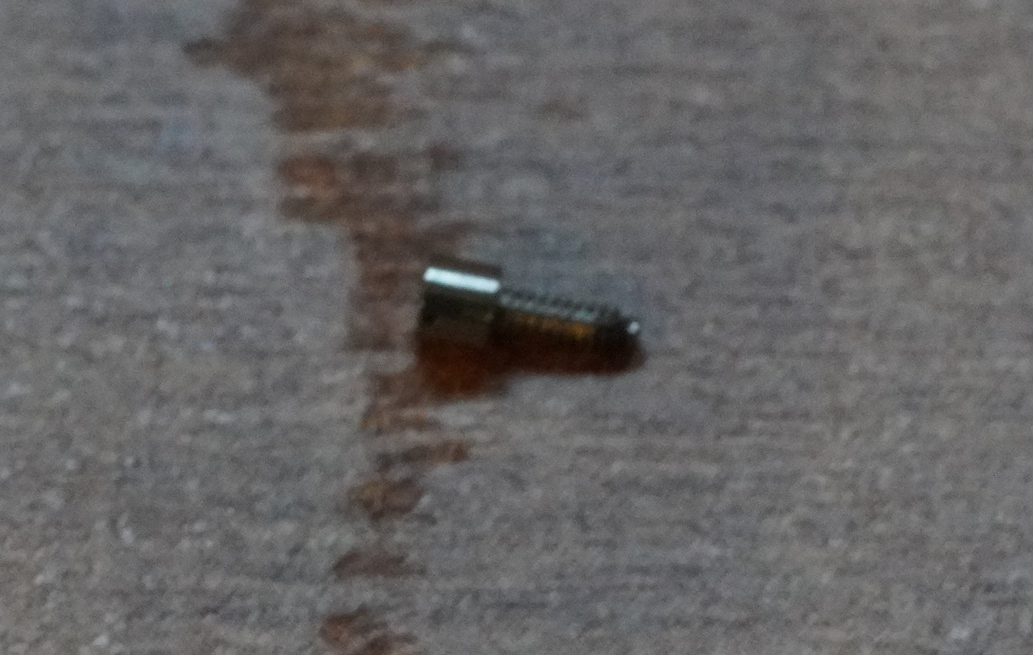 Omega screw 2009