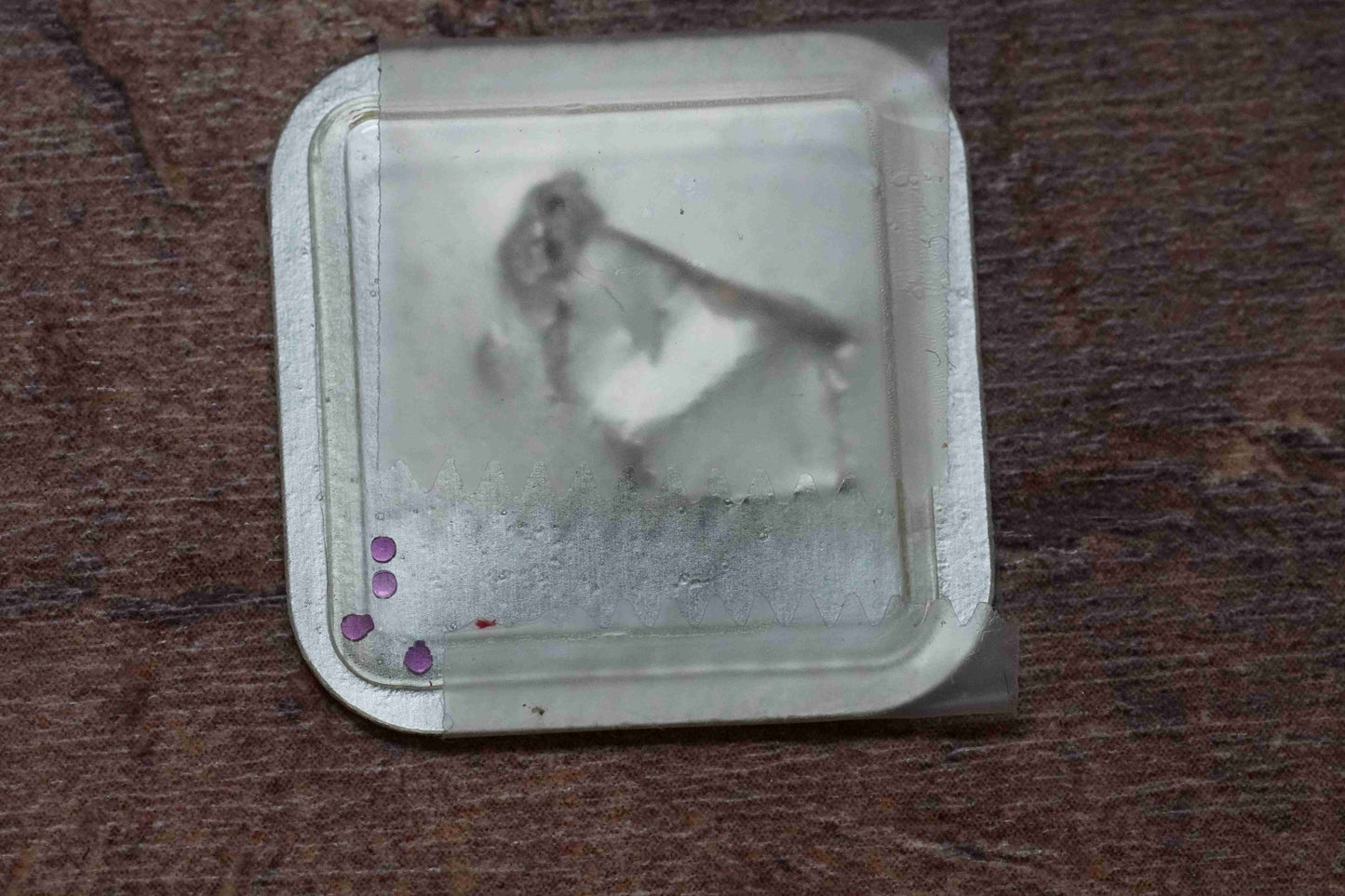 Omega cal 485 part 1342 Balance endstone, upper and lower