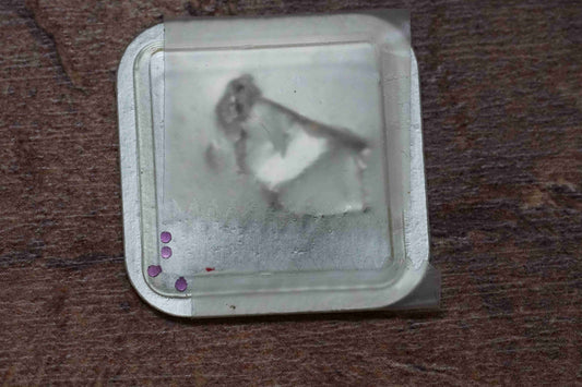 Omega cal 485 part 1342 Balance endstone, upper and lower