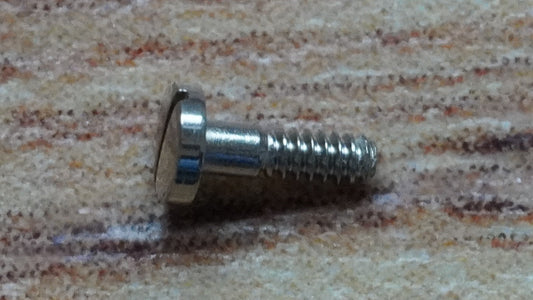 Omega screw 2553